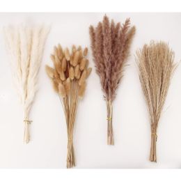 Grass Decor 100 Stems Pampas Grass Contains Bunny Tails Dried Flowers Reed Grass Bouquet For Wedding Boho Flowers Home Table Decor