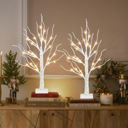 Home Decor, 2FT Birch Tree With LED Lights Warm White Light Up Tree