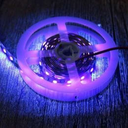 LED Purple Light UV Soft Patch Light With Low Voltage (Option: 120 LightsM Epoxy-DC12V)